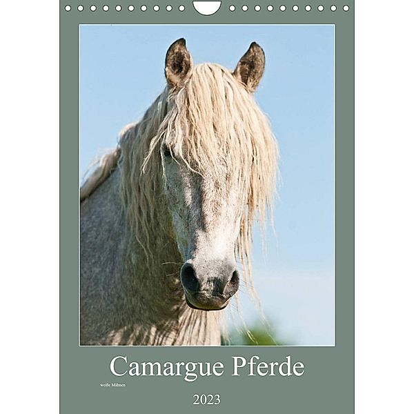 Camargue Pferde - weiße Mähnen (Wandkalender 2023 DIN A4 hoch), Meike Bölts