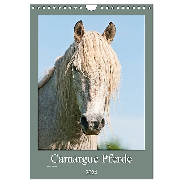 Camargue Pferde - weiße Mähnen (Wandkalender 2024 DIN A4 hoch), CALVENDO Monatskalender, Meike Bölts
