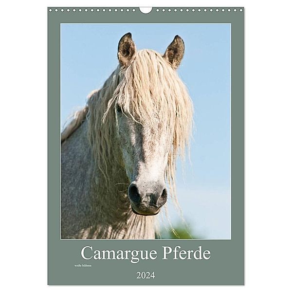 Camargue Pferde - weiße Mähnen (Wandkalender 2024 DIN A3 hoch), CALVENDO Monatskalender, Meike Bölts