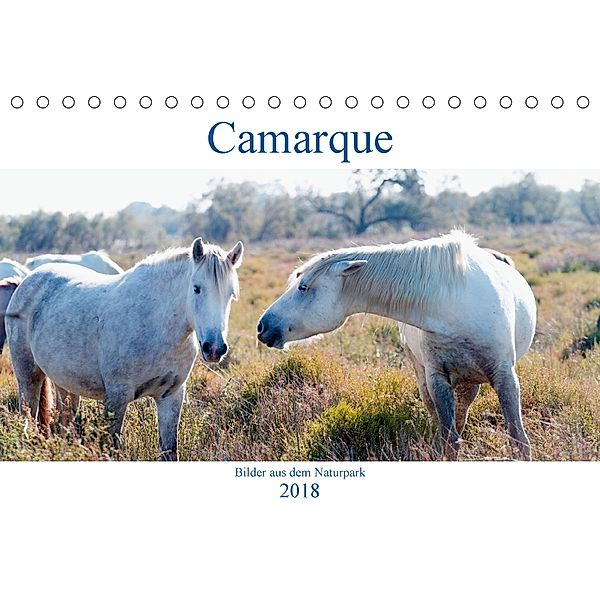 Camarque - Bilder aus dem Naturpark (Tischkalender 2018 DIN A5 quer) Dieser erfolgreiche Kalender wurde dieses Jahr mit, Tobias Eble