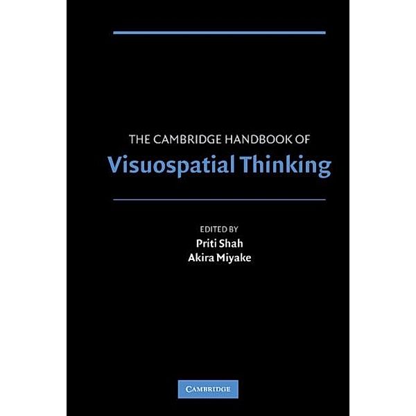 Cambridge Handbook of Visuospatial Thinking