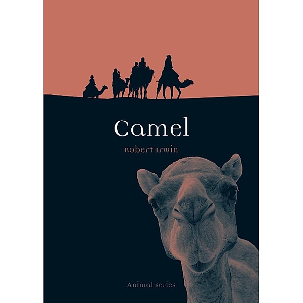 Camel / Animal, Irwin Robert Irwin