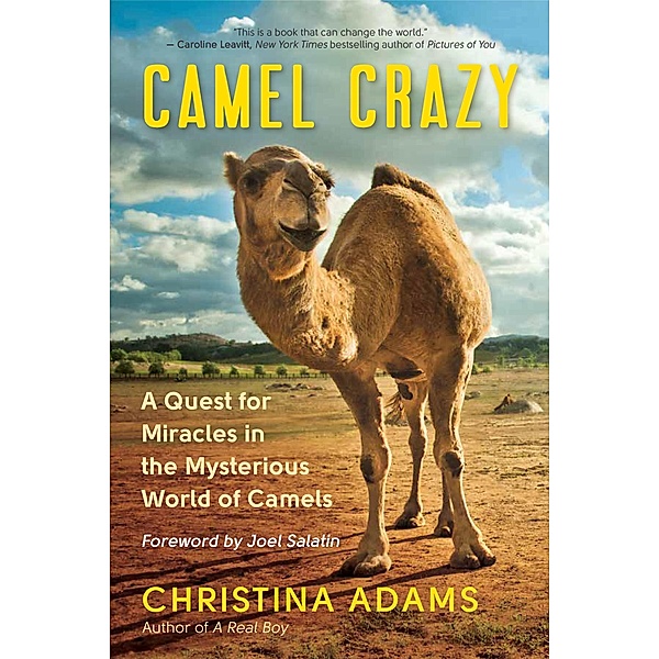 Camel Crazy, Christina Adams