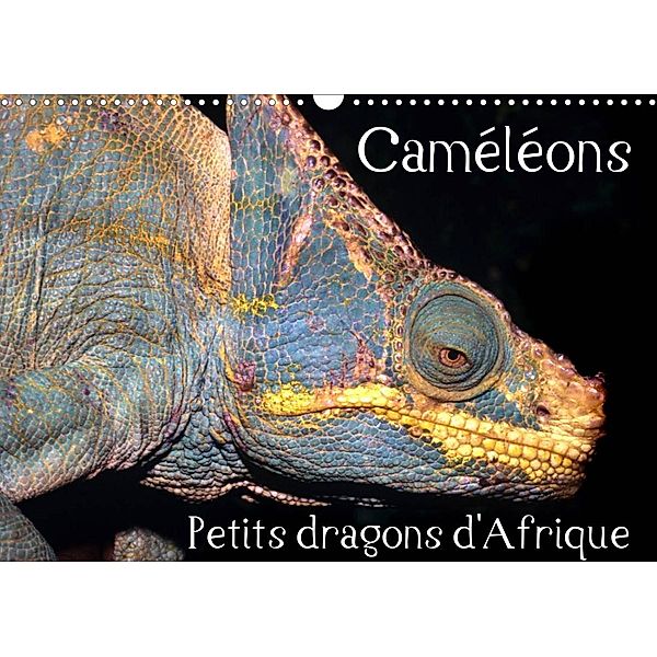 Caméléons - Petits dragons d'Afrique. (Calendrier mural 2023 DIN A3 horizontal), Chris Hellier