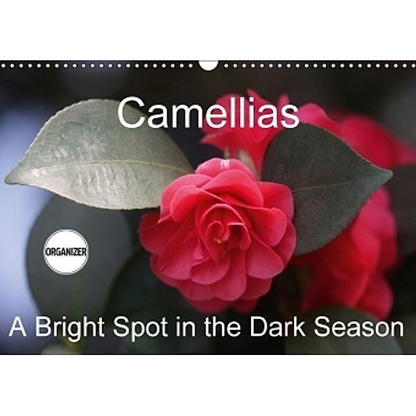 Camellias A Bright Spot in the Dark Season (Wall Calendar 2017 DIN A3 Landscape), Gisela Kruse