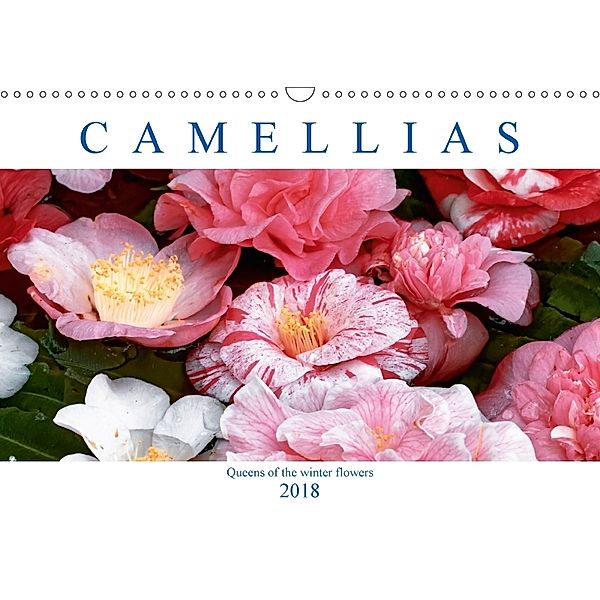 Camellias (Wall Calendar 2018 DIN A3 Landscape), Dieter Meyer