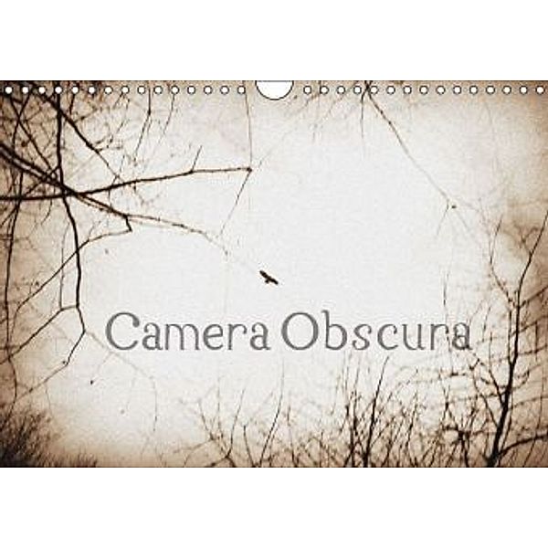 Camera Obscura CH-Version (Wandkalender 2016 DIN A4 quer), Michel Villard