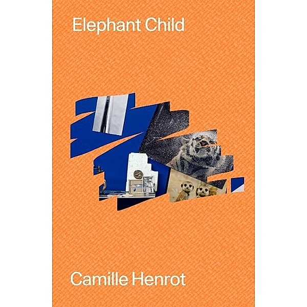 Camille Henrot. Elephant Child