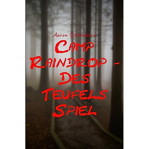 Camp Raindrop - Des Teufels Spiel, Aaron Schöneborn