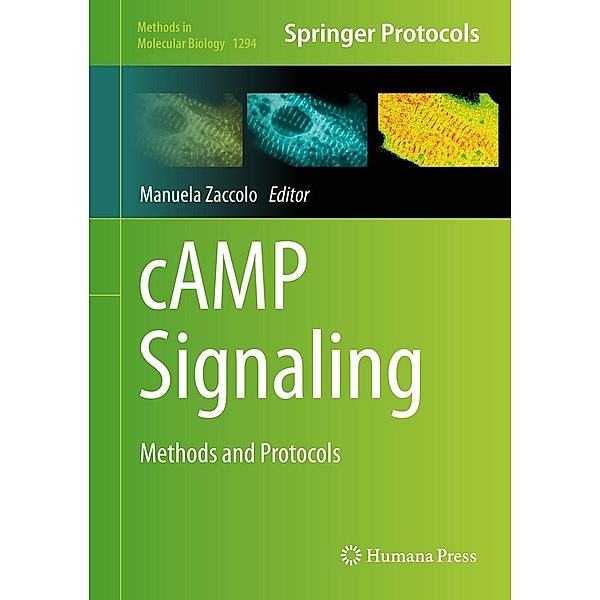 cAMP Signaling / Methods in Molecular Biology Bd.1294