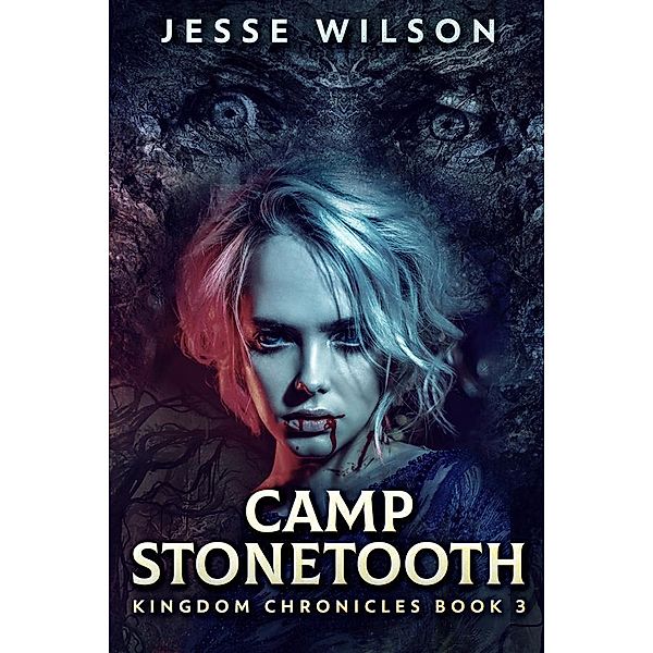 Camp Stonetooth / Kingdom Chronicles Bd.3, Jesse Wilson