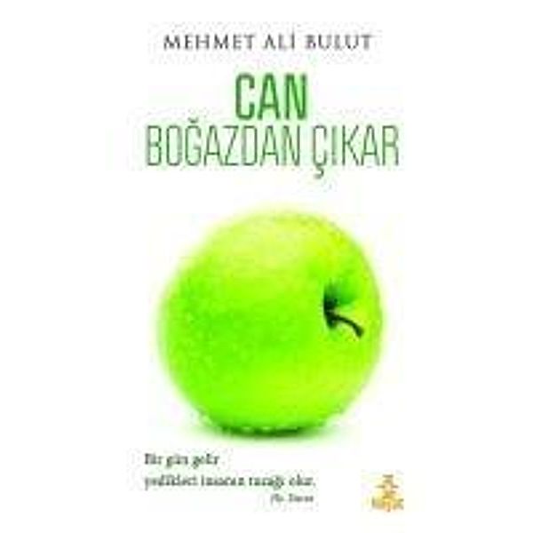 Can Bogazdan Cikar, Mehmet Ali Bulut