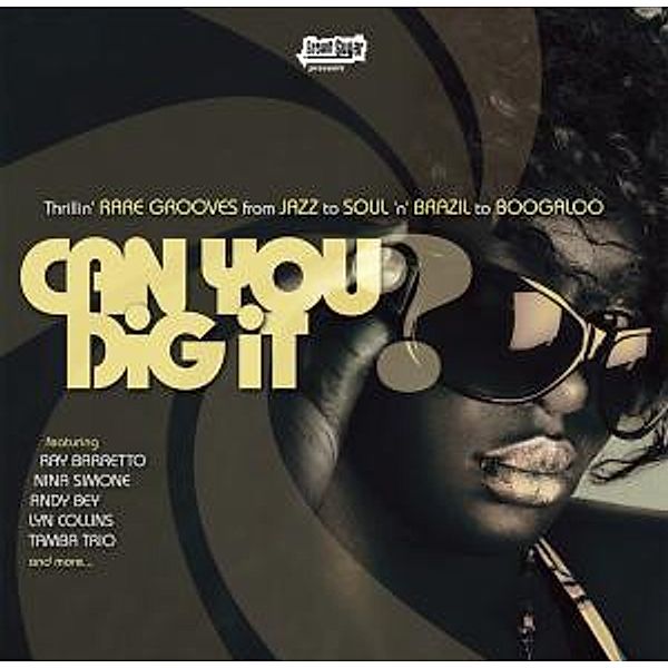 Can You Dig It? (Vinyl), Diverse Interpreten