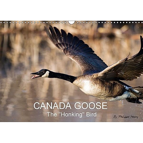 CANADA GOOSE / UK-Version (Wall Calendar 2017 DIN A3 Landscape), Philippe Henry