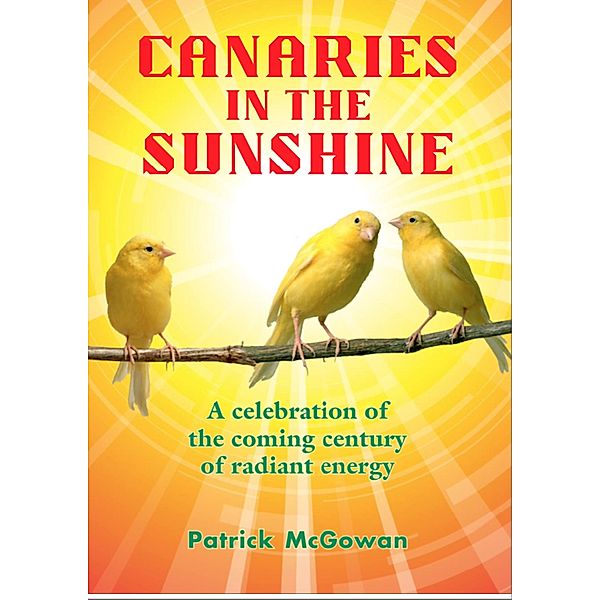 Canaries in the Sunshine, Patrick McGowan