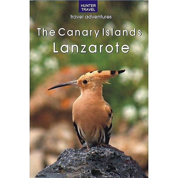 Canary Islands: Lanzarote, Kelly Lipscomb