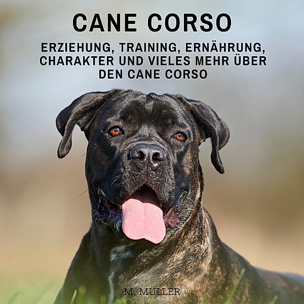 Cane Corso, M. Müller