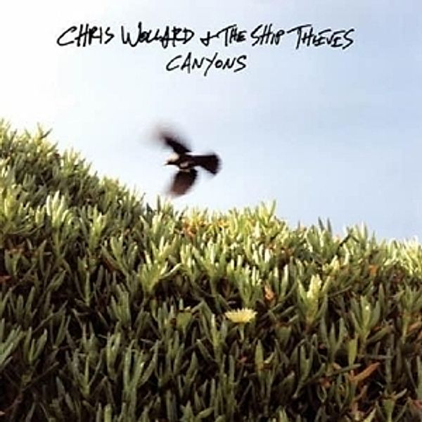 Canyons (Lp) (Vinyl), Chris Wollard & The Ship Thiev