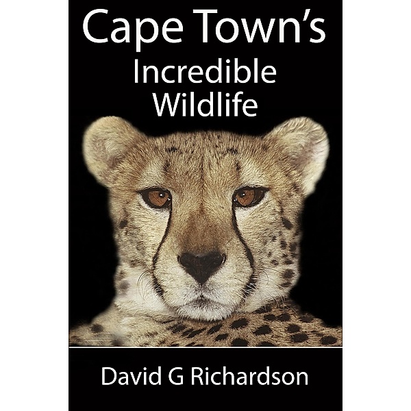 Cape Town's Incredible Wildlife, David G Richardson