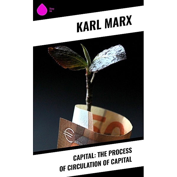 Capital: The Process of Circulation of Capital, Karl Marx