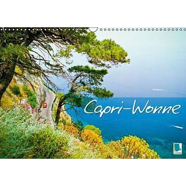 Capri-Wonne (Wandkalender 2015 DIN A3 quer), Calvendo