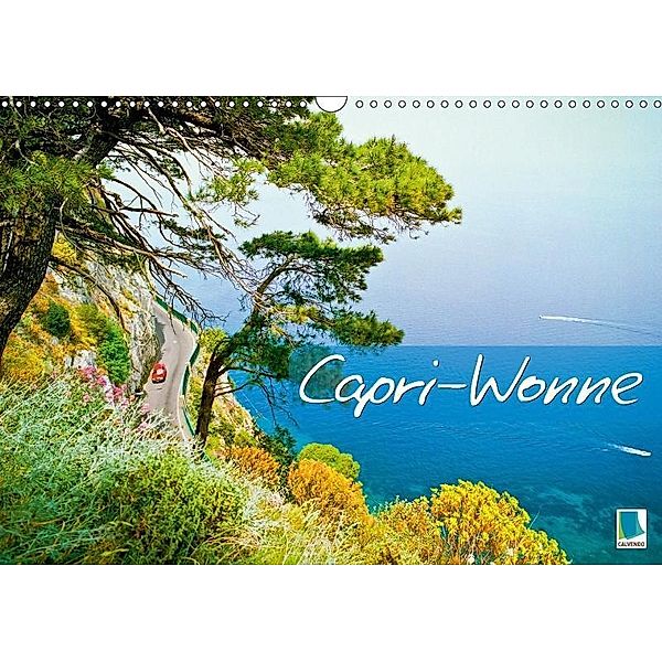 Capri-Wonne (Wandkalender 2017 DIN A3 quer), k.A. CALVENDO