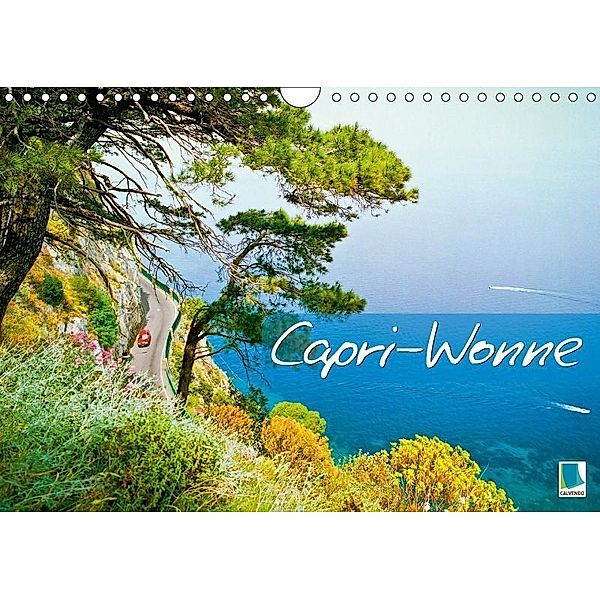 Capri-Wonne (Wandkalender 2017 DIN A4 quer), k.A. CALVENDO