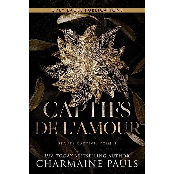 Captifs de l'amour / Beauté captive Bd.3, Charmaine Pauls