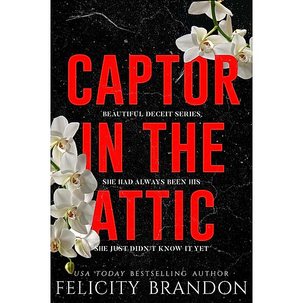 Captor In The Attic (Beautiful Deceit, #1) / Beautiful Deceit, Felicity Brandon