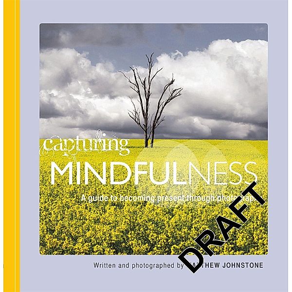 Capturing  Mindfulness, Matthew Johnstone