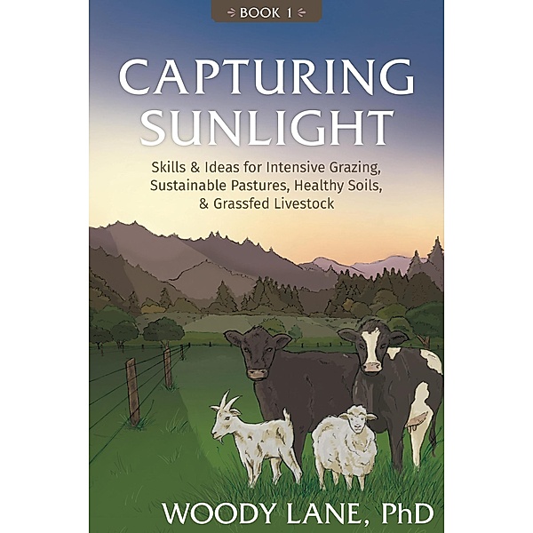 Capturing Sunlight, Book 1, Woody Lane