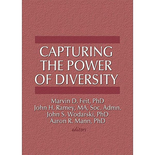 Capturing the Power of Diversity, Marvin D Feit, John S Wodarski, John H Ramey, Aaron R Mann