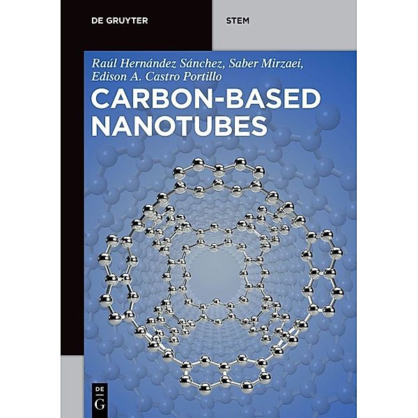 Carbon-Based Nanotubes, Raúl Hernández Sánchez, Saber Mirzaei, Edison Arley Castro Portillo