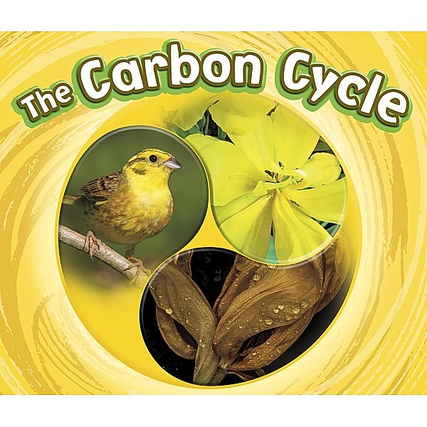 Carbon Cycle / Raintree Publishers, Catherine Ipcizade