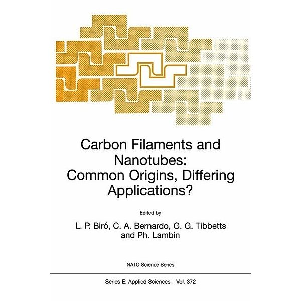 Carbon Filaments and Nanotubes: Common Origins, Differing Applications? / NATO Science Series E: Bd.372