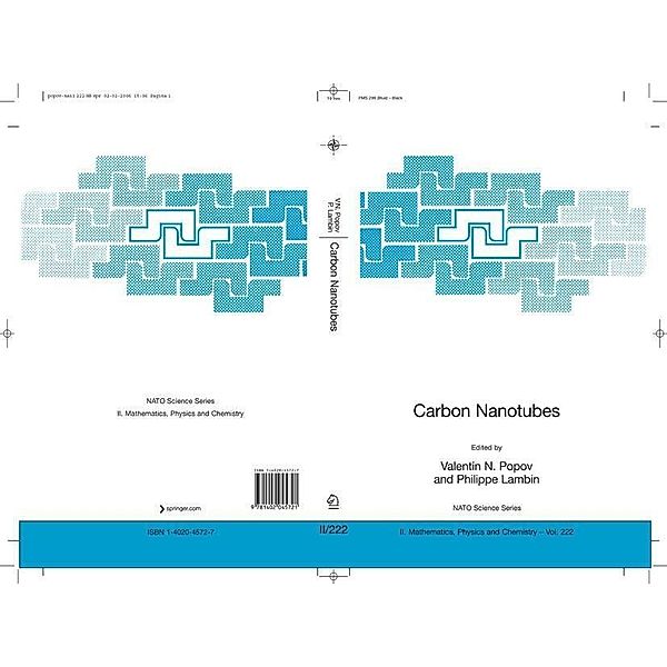 Carbon Nanotubes: From Basic Research to Nanotechnology / NATO Science Series II: Mathematics, Physics and Chemistry Bd.222