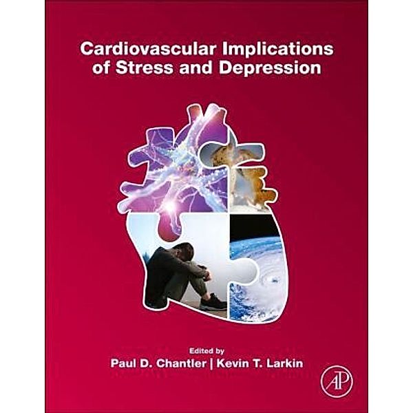 Cardiovascular Implications of Stress and Depression