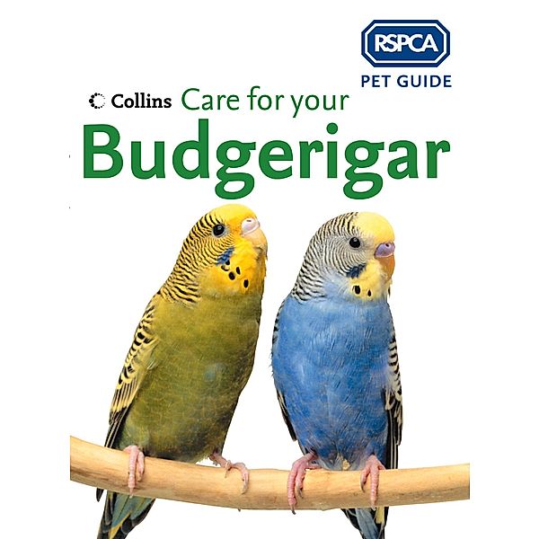 Care for your Budgerigar / RSPCA Pet Guide, Rspca