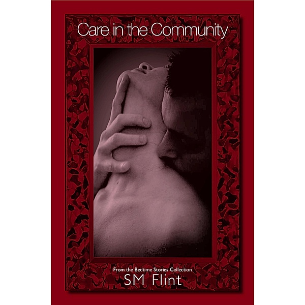 Care in the Community (Bedtime Stories Collection, #9) / Bedtime Stories Collection, Sm Flint