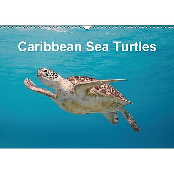 Caribbean Sea Turtles (Wall Calendar 2018 DIN A3 Landscape), Tilo Kühnast, Yvonne Kühnast