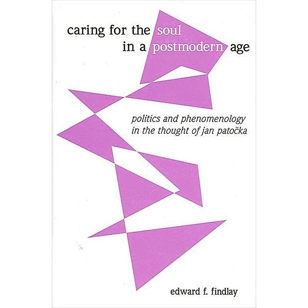Caring for the Soul in a Postmodern Age, Edward F. Findlay