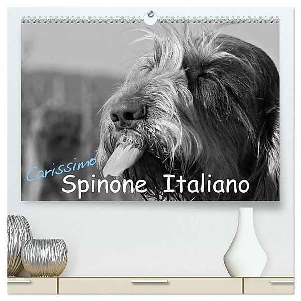 Carissimo Spinone Italiano (hochwertiger Premium Wandkalender 2024 DIN A2 quer), Kunstdruck in Hochglanz, Silvia Drafz