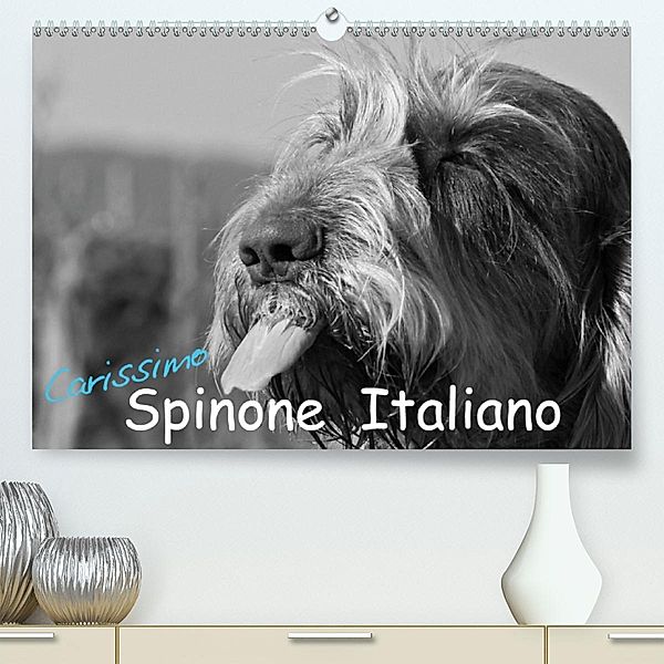 Carissimo Spinone Italiano (Premium-Kalender 2020 DIN A2 quer), Silvia Drafz