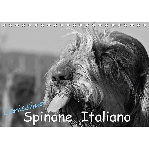 Carissimo Spinone Italiano (Tischkalender 2017 DIN A5 quer), Silvia Drafz