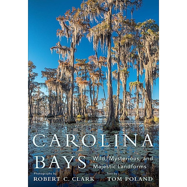Carolina Bays, Tom Poland