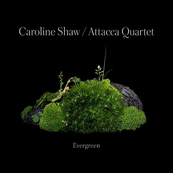 Caroline Shaw:Evergreen, Caroline Shaw, Attacca Quartet