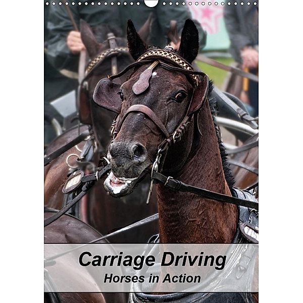 Carriage Driving - Horses in Action (Wall Calendar 2021 DIN A3 Portrait), Marion Sixt