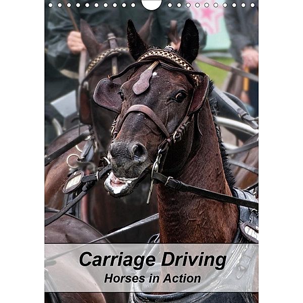 Carriage Driving - Horses in Action (Wall Calendar 2021 DIN A4 Portrait), Marion Sixt