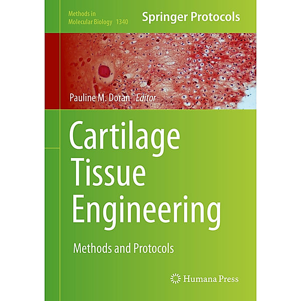 Cartilage Tissue Engineering