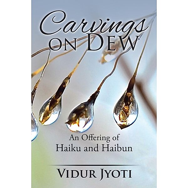 Carvings on Dew, Vidur Jyoti